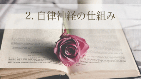 身体の取扱説明書コース「2. 自律神経の仕組み」(単品)