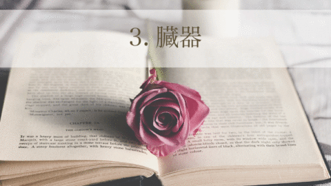 身体の取扱説明書コース「3. 臓器」(単品)