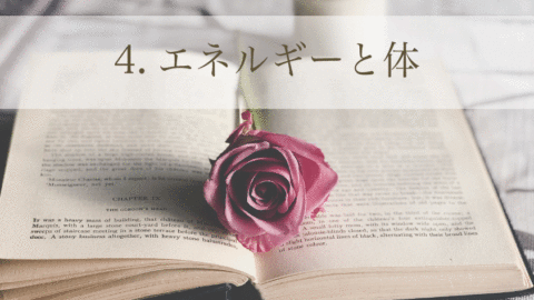 身体の取扱説明書コース「4. エネルギーと体」(単品)
